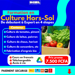 Formation en Culture Hors-Sol: Dévient Expert en 4 Etapes