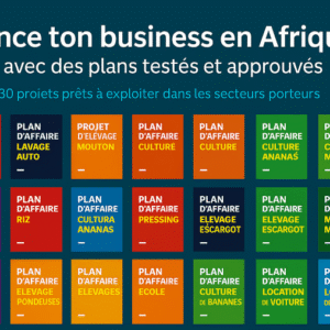 Lance ton business en AFRIQUE avec des plans d'affaires complets testés et approuvés.